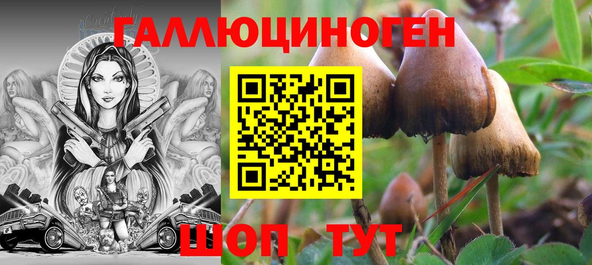 купить закладку  Вход с VPN  Кирово-Чепецк  Галлюциногенные грибы мицелий 